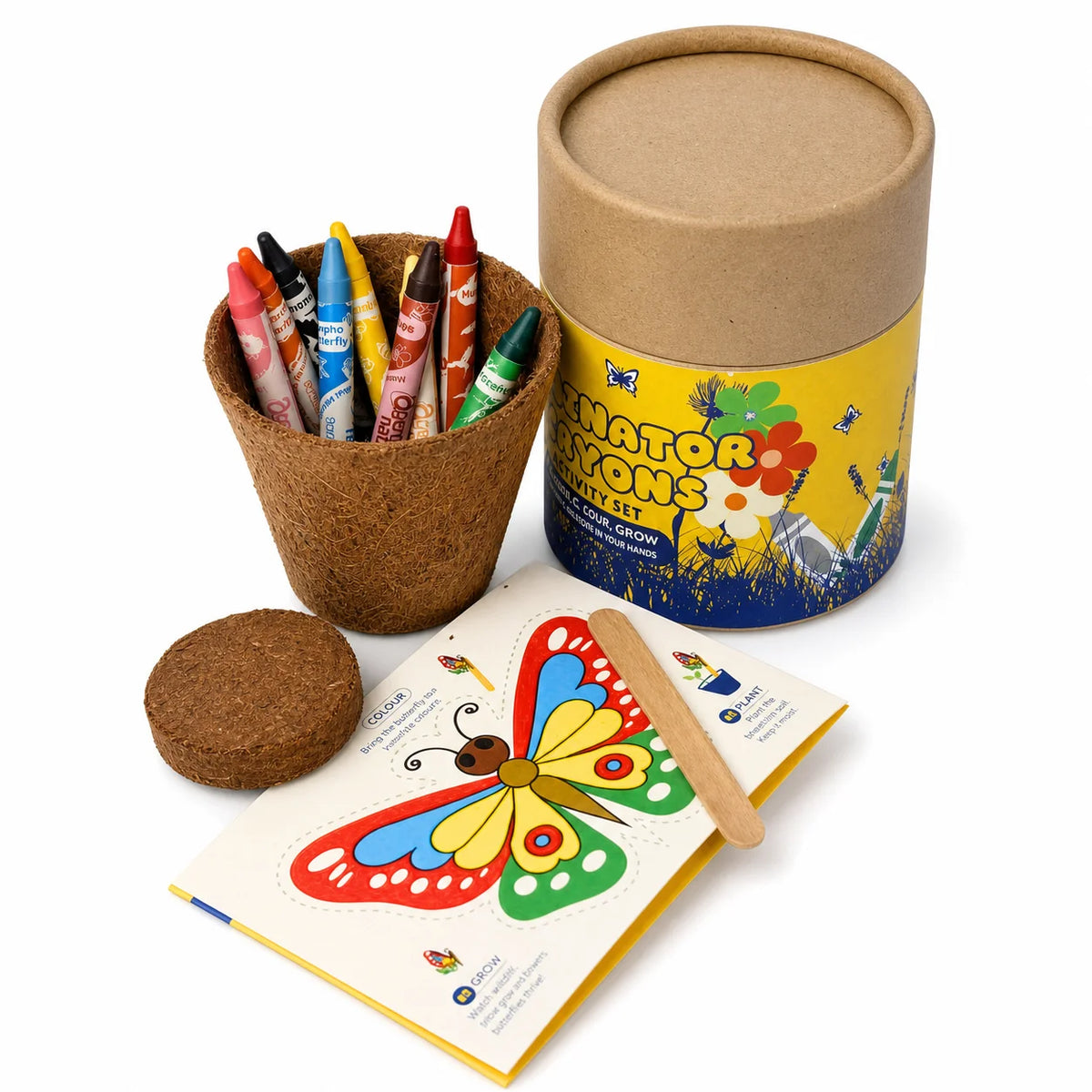 Eco - 3D Butterfly Grow Craft Kit