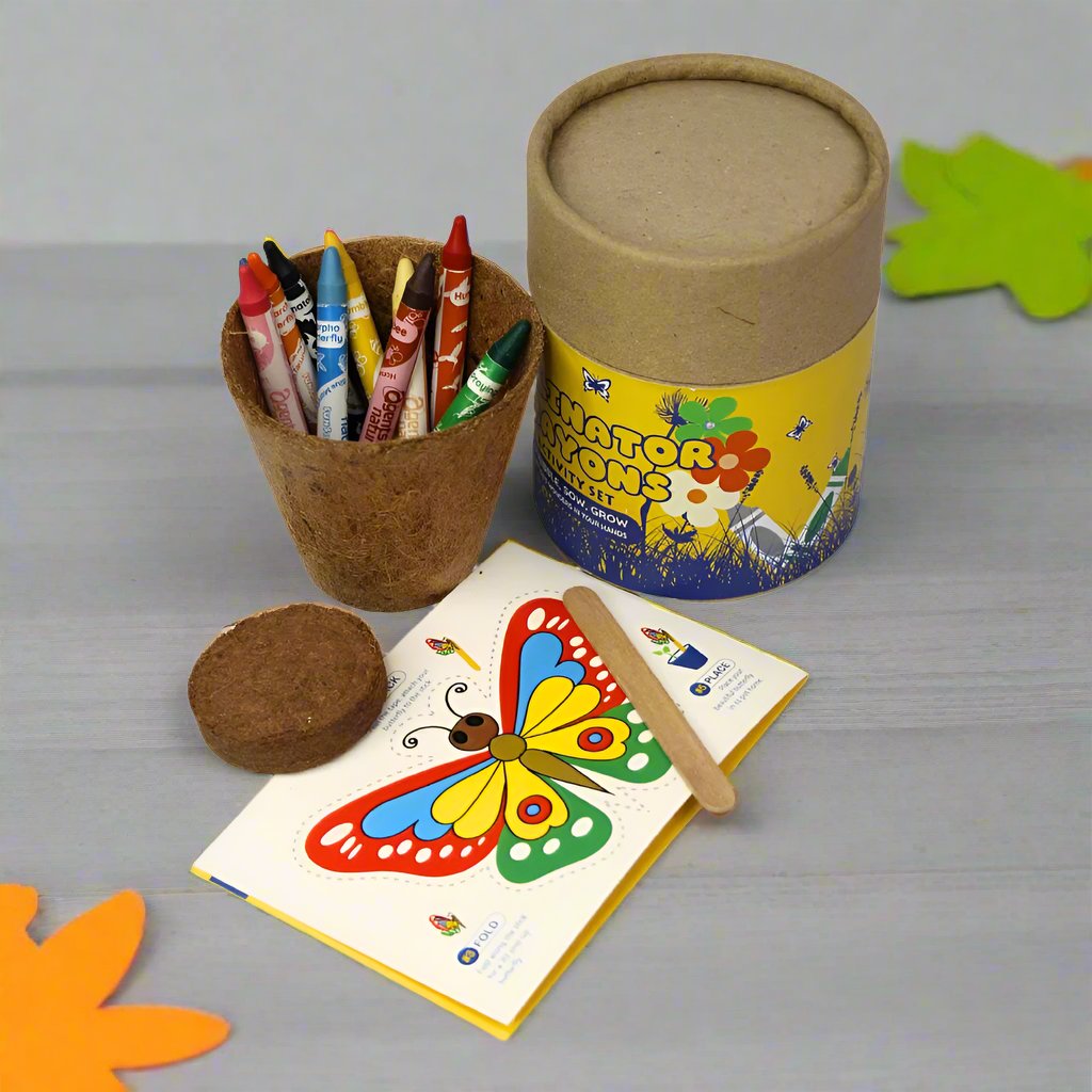 Eco Pollinator Crayons | 3D butterfly + Coloring Sheet + Cocopot + Cocopeat | Gift Set | Eco Friendly | Book My Gift