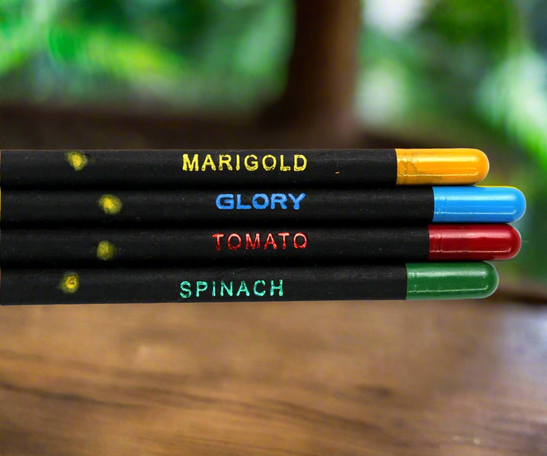 CarnivalSeedPencils01_Bookmygift