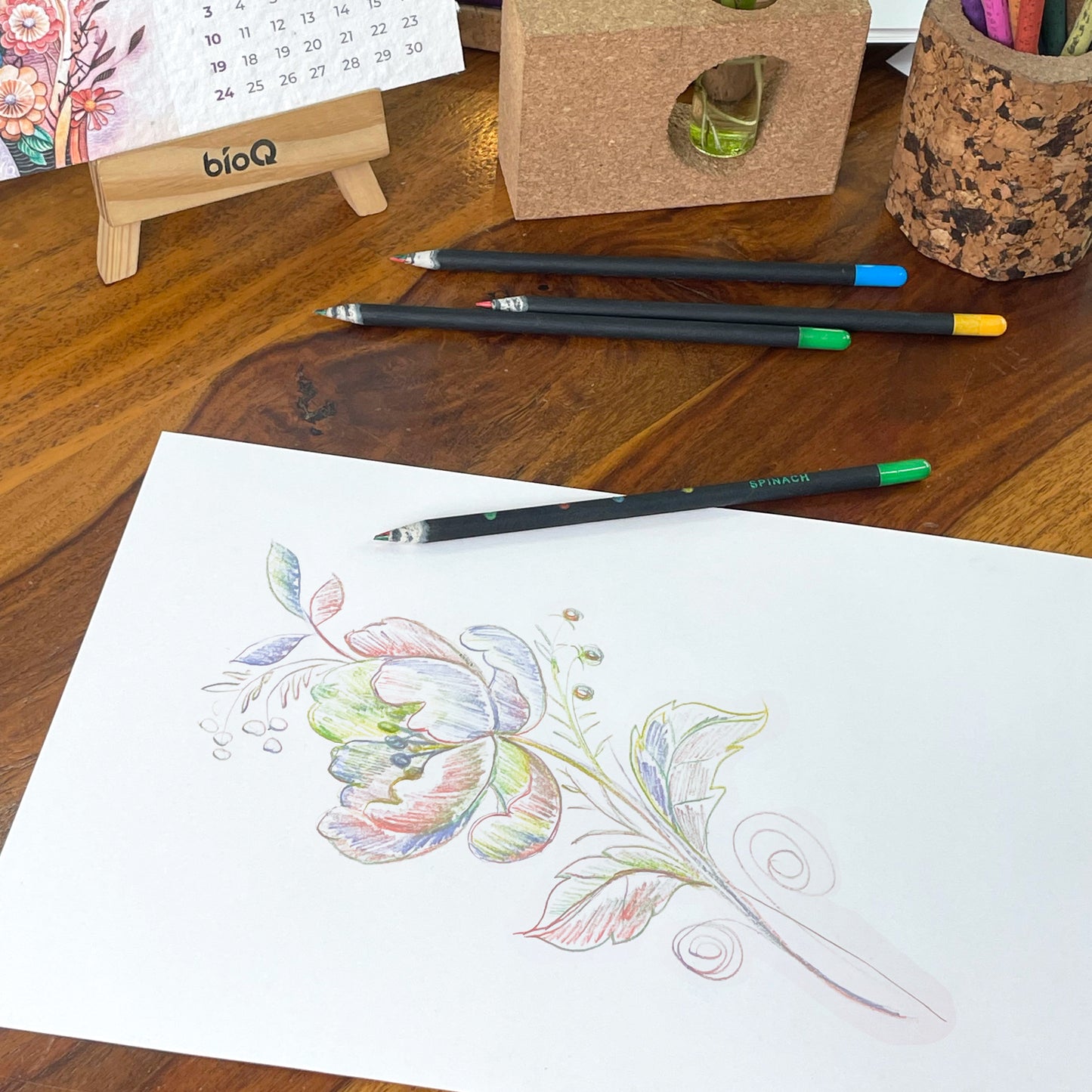 CarnivalSeedPencils05_Bookmygift