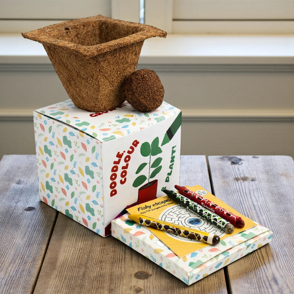 Eco - Colour & Plant Crayon Kit