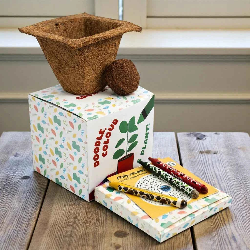 Eco - Colour & Plant Crayon Kit