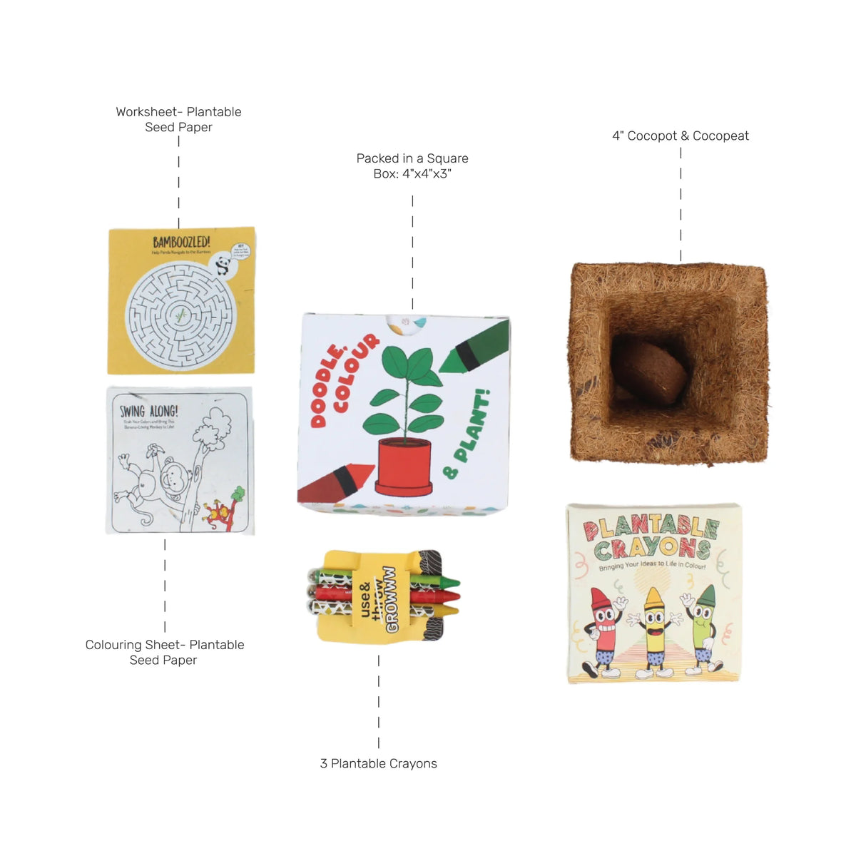 Eco - Colour & Plant Crayon Kit