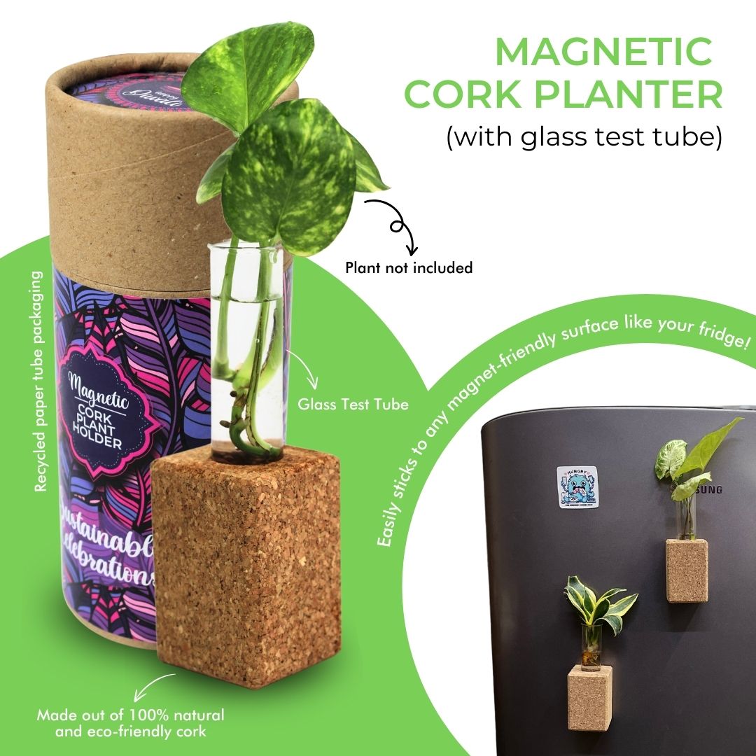 Magnetic Cork Planter | Desktop Planter | Eco Friendly | Corporate Gift | Birthday Gift | Book My Gift