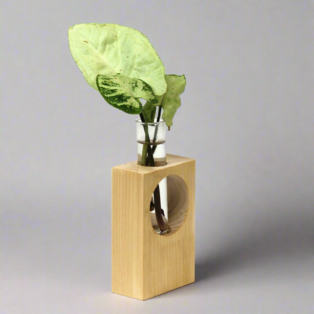 Desk Wooden Planter | Plant | Table Décor | Eco Friendly | Corporate Gift | Book My Gift