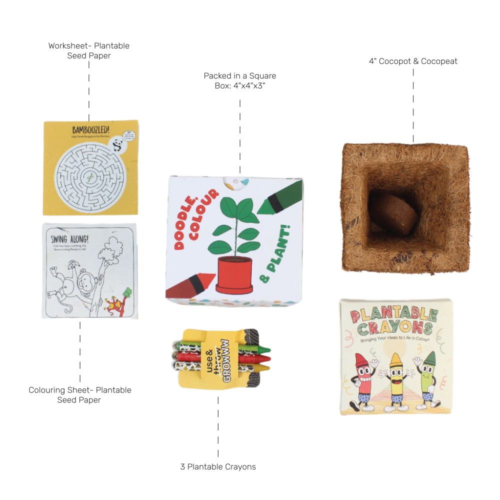 Doodle Grow Kit | Plantable Crayons + Worksheet + Cocopot + Coloring Sheet | Eco Friendly | Book My Gift