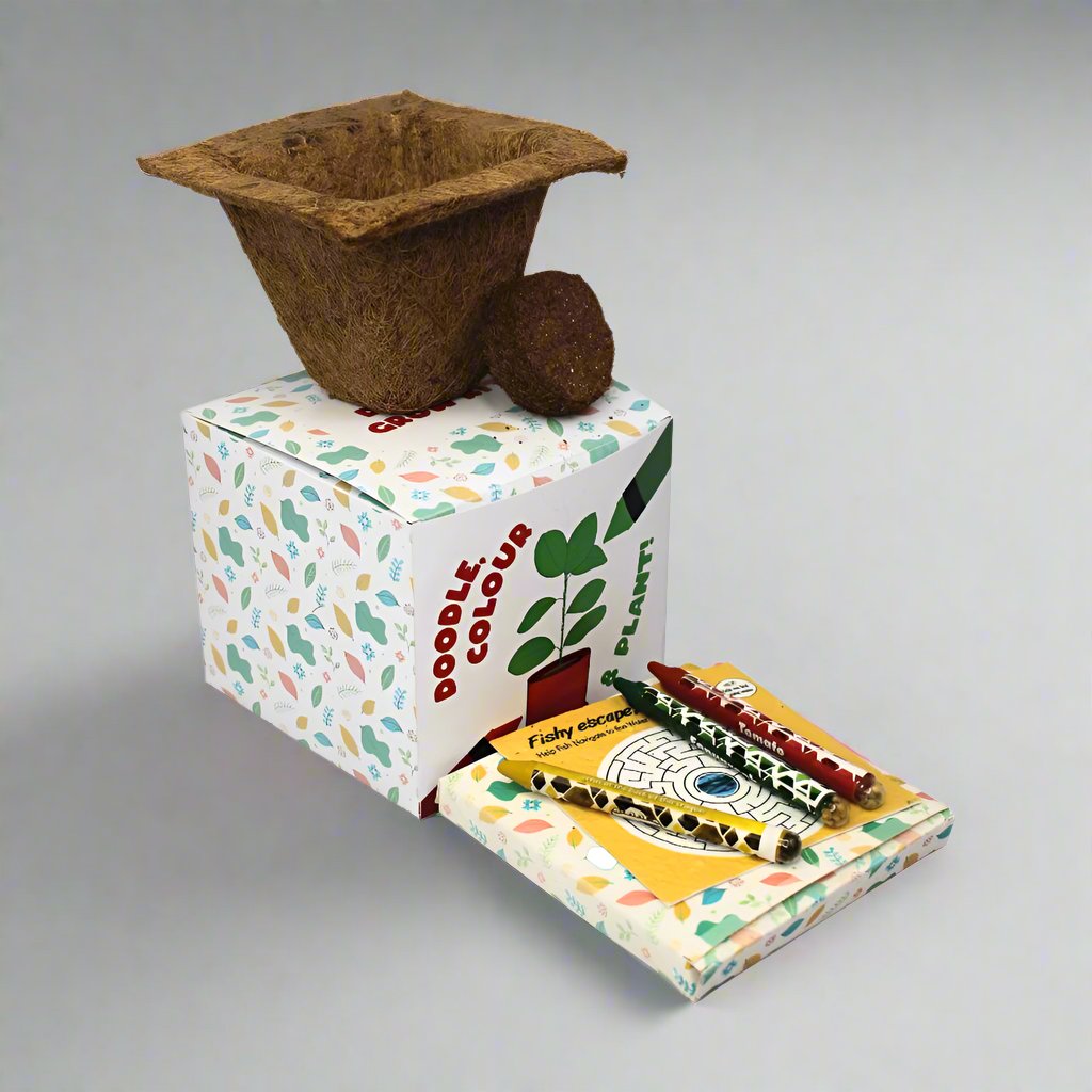Doodle Grow Kit | Plantable Crayons + Worksheet + Cocopot + Coloring Sheet | Eco Friendly | Book My Gift