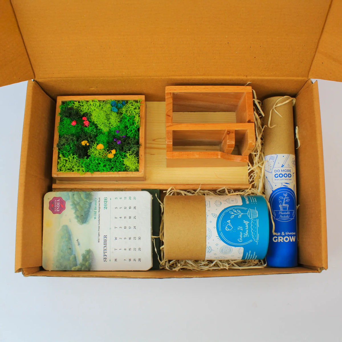 Eco - Forest Station Grow Desk Gift Box
