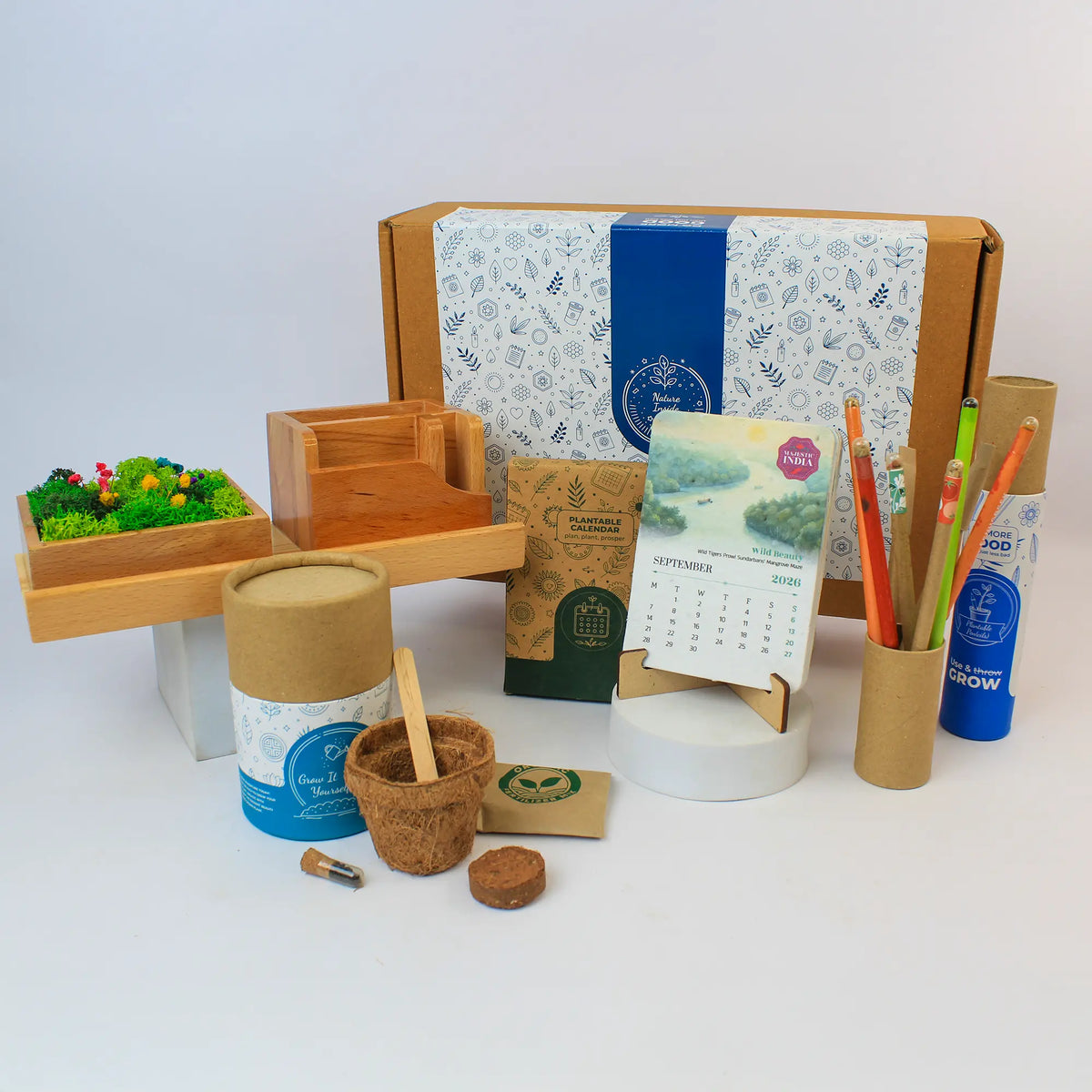 Eco - Forest Station Grow Desk Gift Box