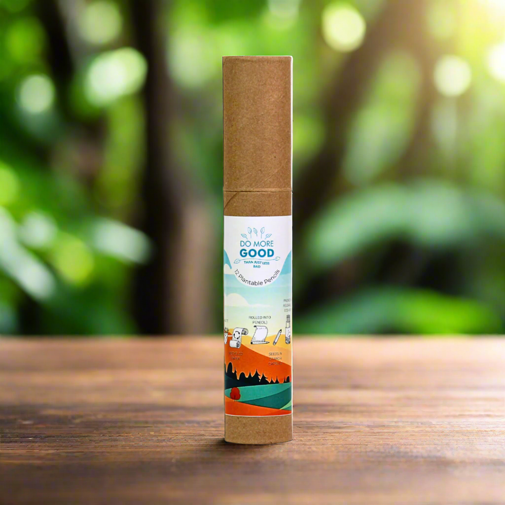 Garden Seed Pencil Set | Eco Friendly | Pack Of 12 pcs. | Birthday Gift | Book My Gift