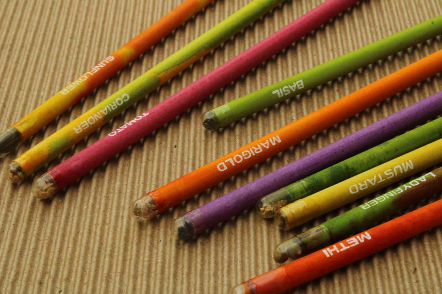 Garden Seed Pencil Set | Eco Friendly | Pack Of 12 pcs. | Birthday Gift | Book My Gift