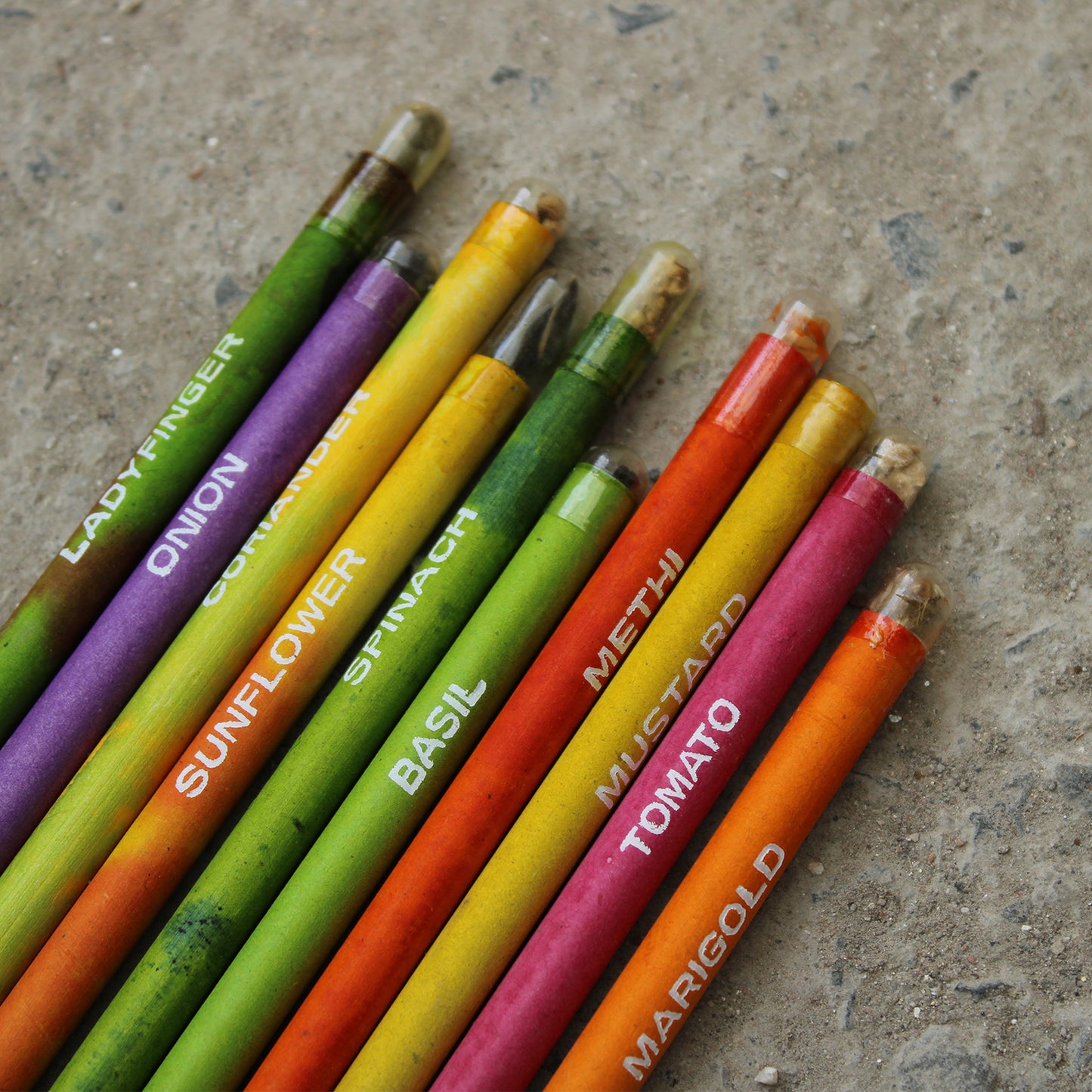 Garden Seed Pencil Set | Eco Friendly | Pack Of 12 pcs. | Birthday Gift | Book My Gift