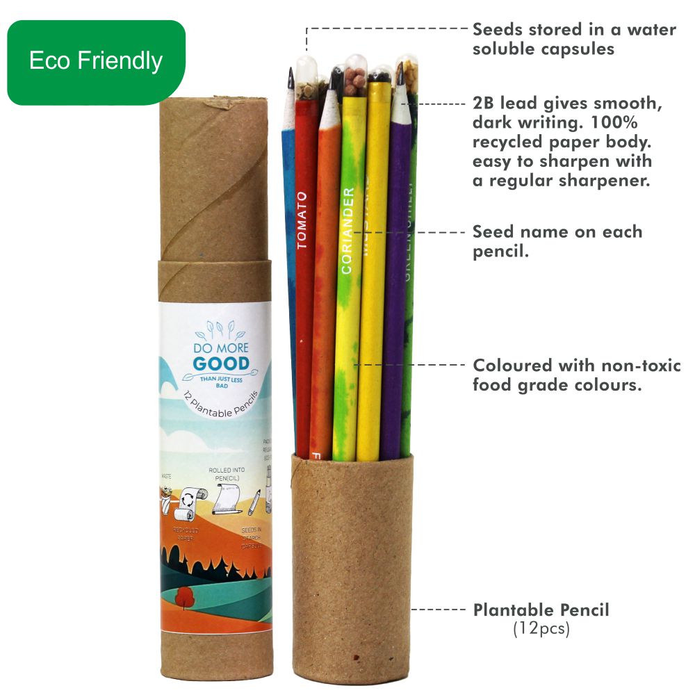 Garden Seed Pencil Set | Eco Friendly | Pack Of 12 pcs. | Birthday Gift | Book My Gift