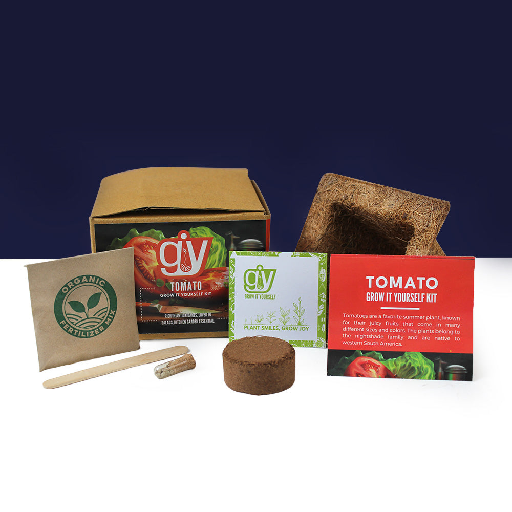 Grow Solo Square Cocopot | Eco Friendly | Seeds and Organic Fertilizer | Birthday Gift | Book My Gift |