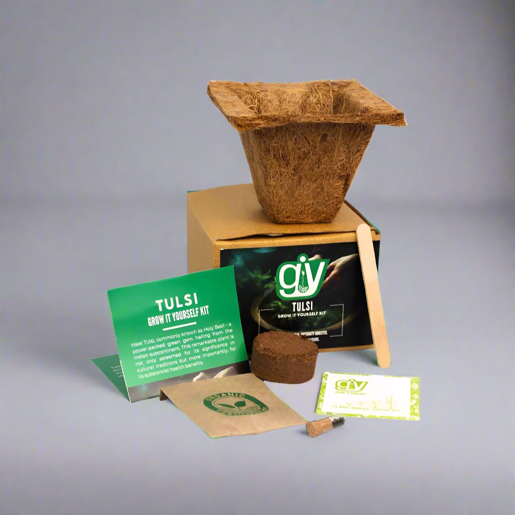 Grow Solo Square Cocopot | Eco Friendly | Seeds and Organic Fertilizer | Birthday Gift | Book My Gift |