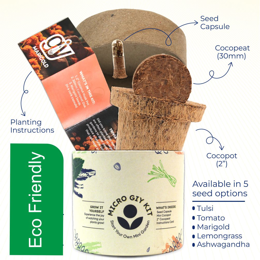 Micro GIY Kit Cocopot | Desktop Planter | Eco Friendly Gift