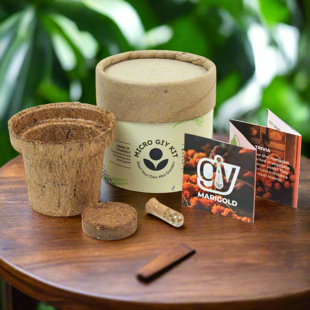 Micro GIY Kit Cocopot | Desktop Planter | Eco Friendly Gift
