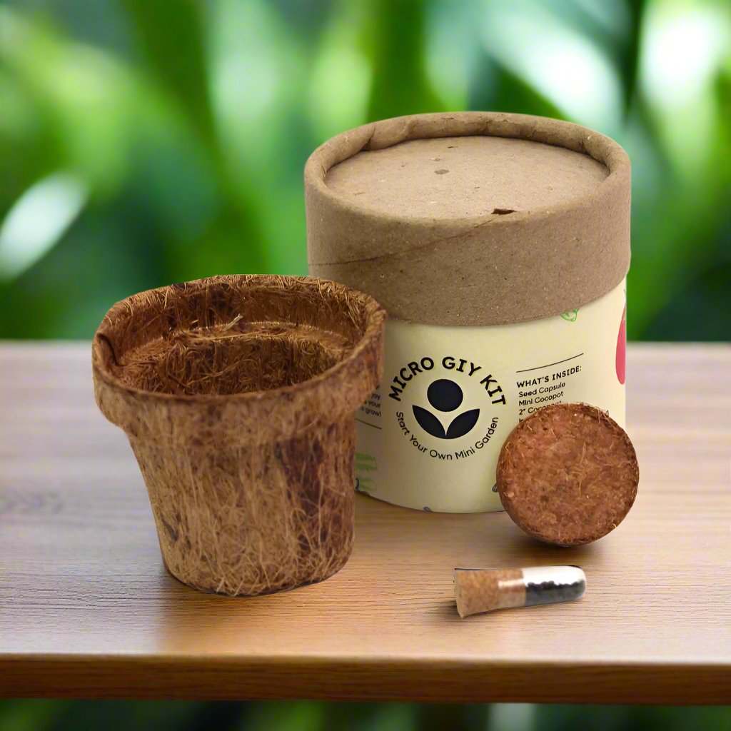 Micro GIY Kit Cocopot | Desktop Planter | Eco Friendly Gift