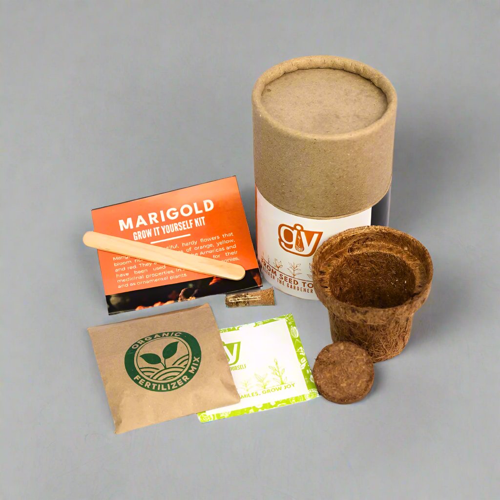 Mini Grow Pro Cocopot | Desktop Planter | Eco Friendly Gift