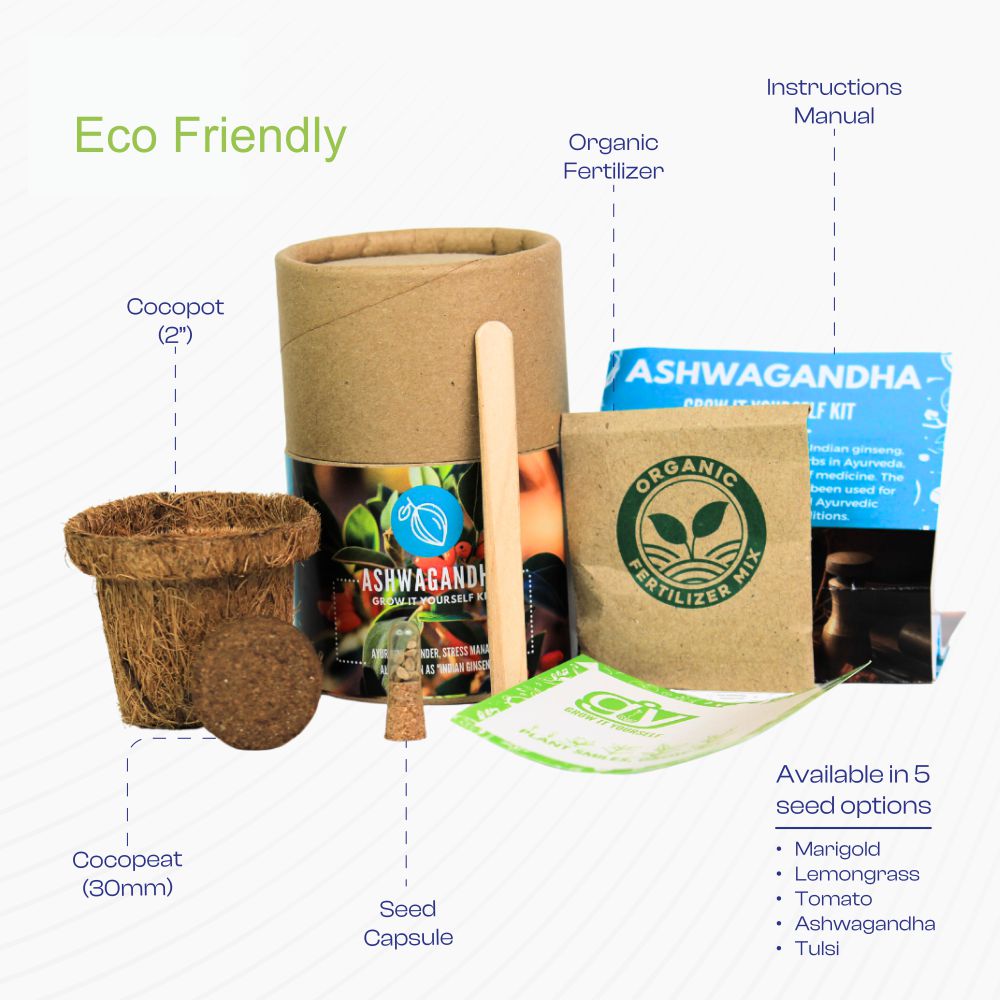 Mini Grow Pro Cocopot | Desktop Planter | Eco Friendly Gift