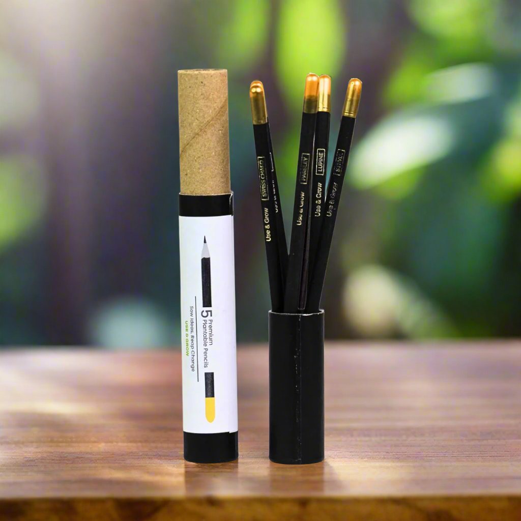 Pencil_EcoFriendly04_Bookmygift