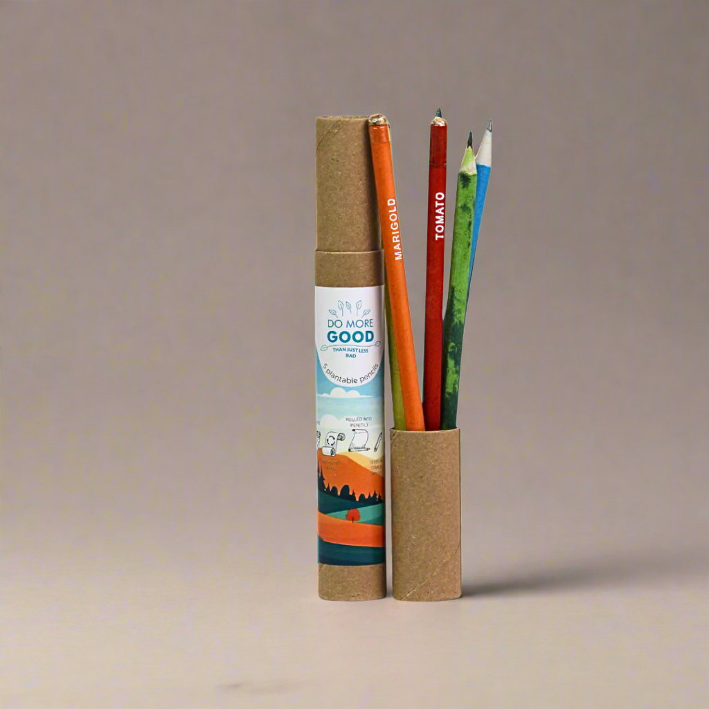 Plantable Seed Pencil | Eco Friendly | Pencil | Birthday Gift | 5 pcs. Set | Book My Gift