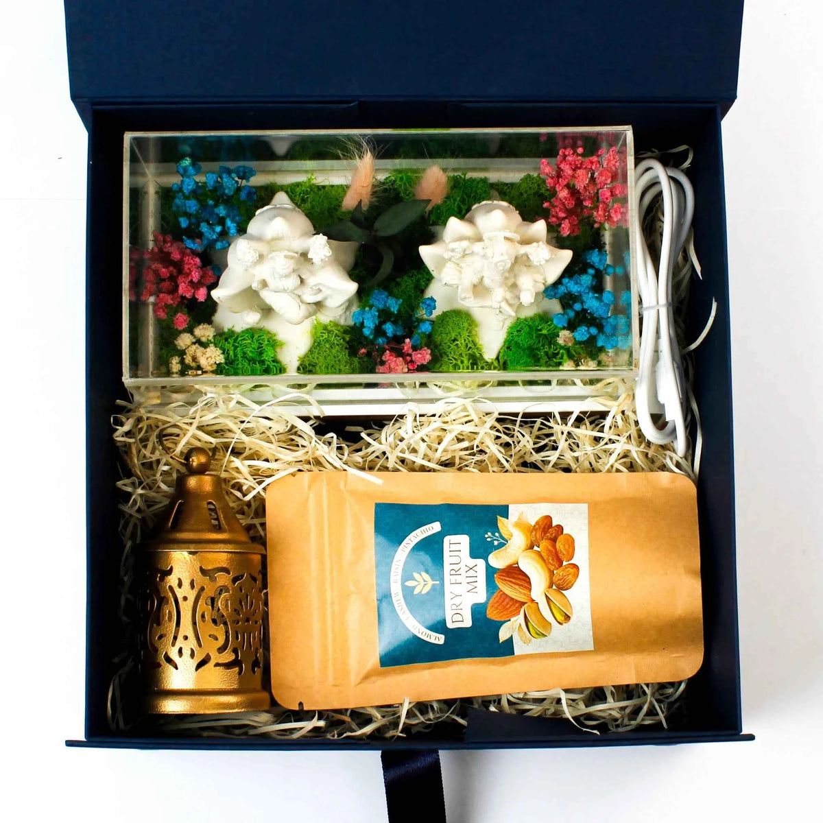Eco - The Aranya Glow Box