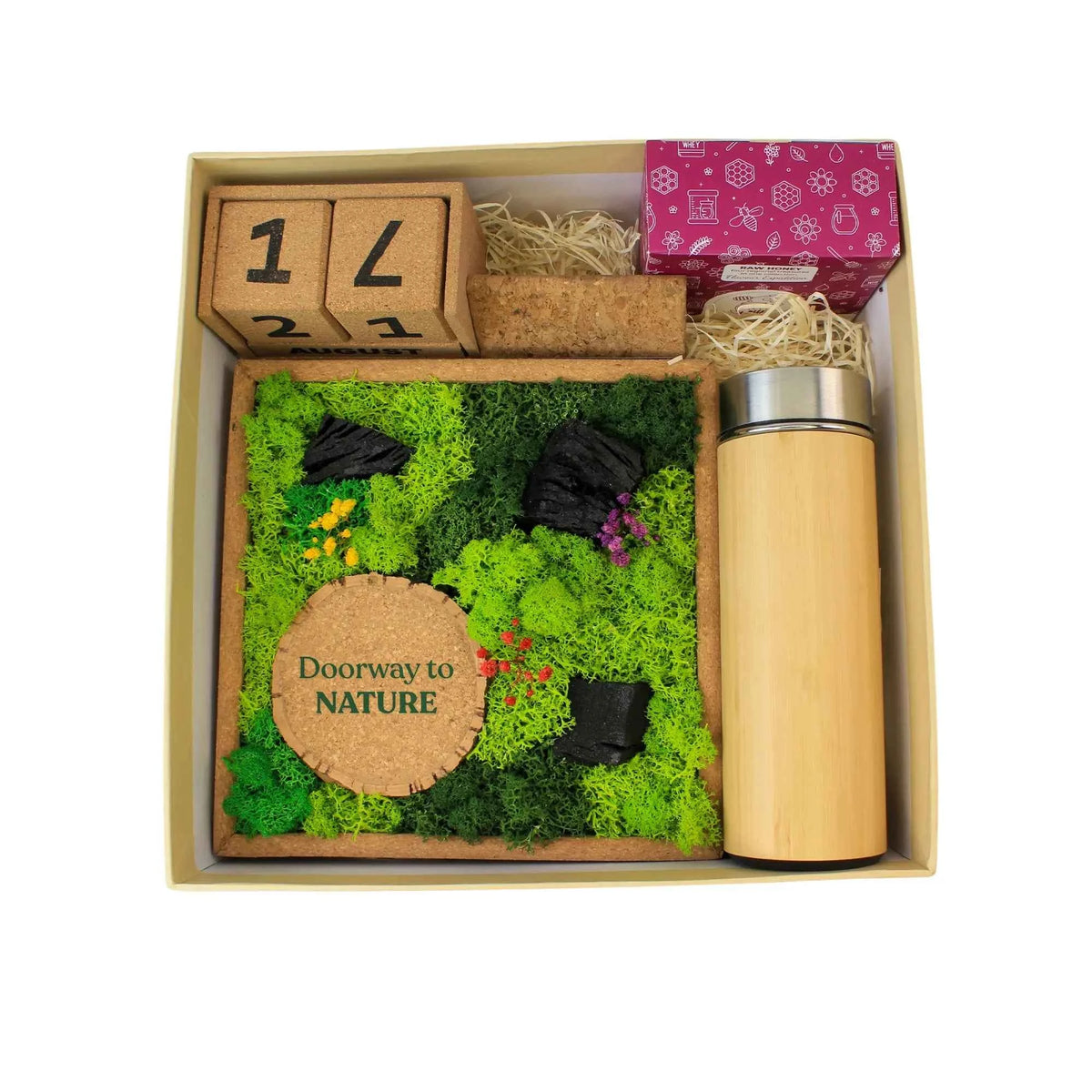 Eco - The Forest Chronicles Box