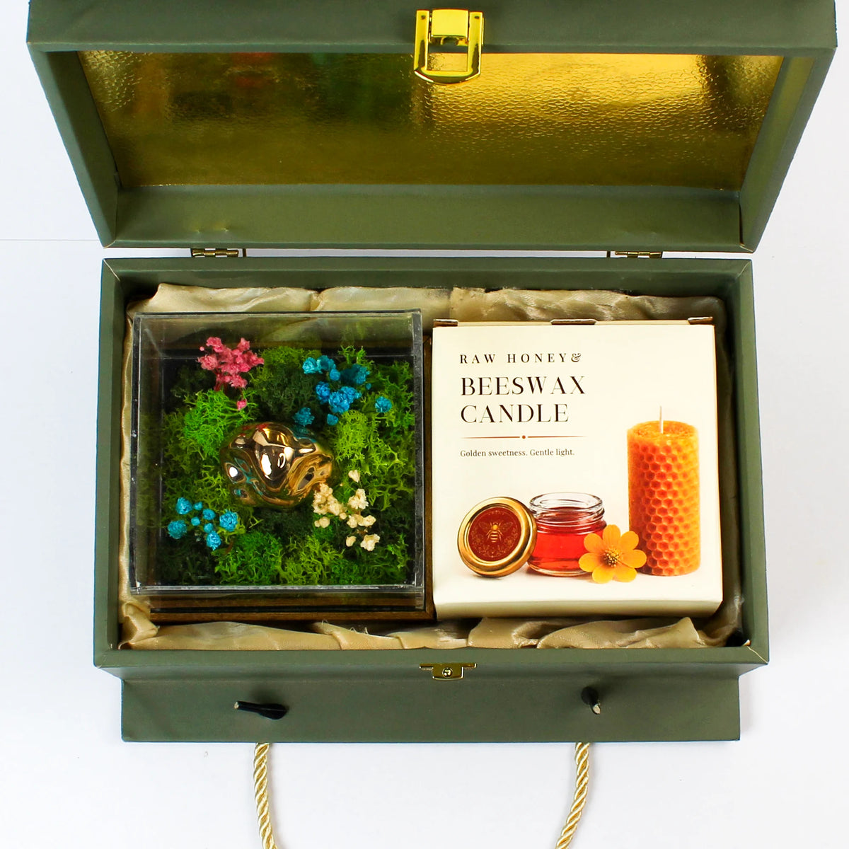 Eco - The Ganesha Case