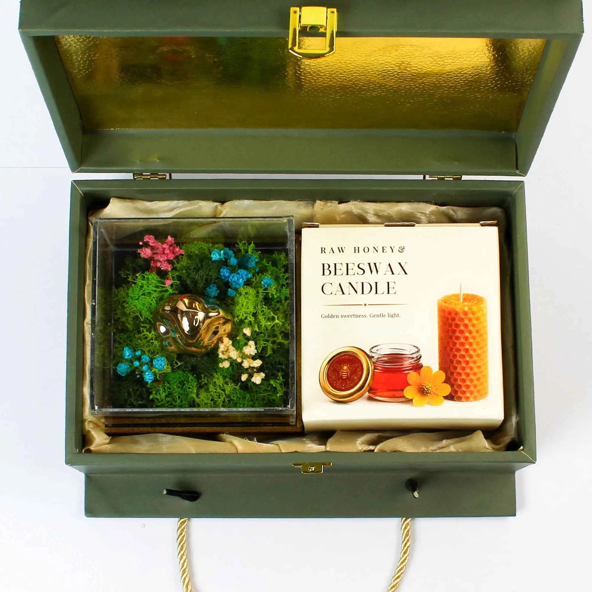Eco - The Ganesha Case