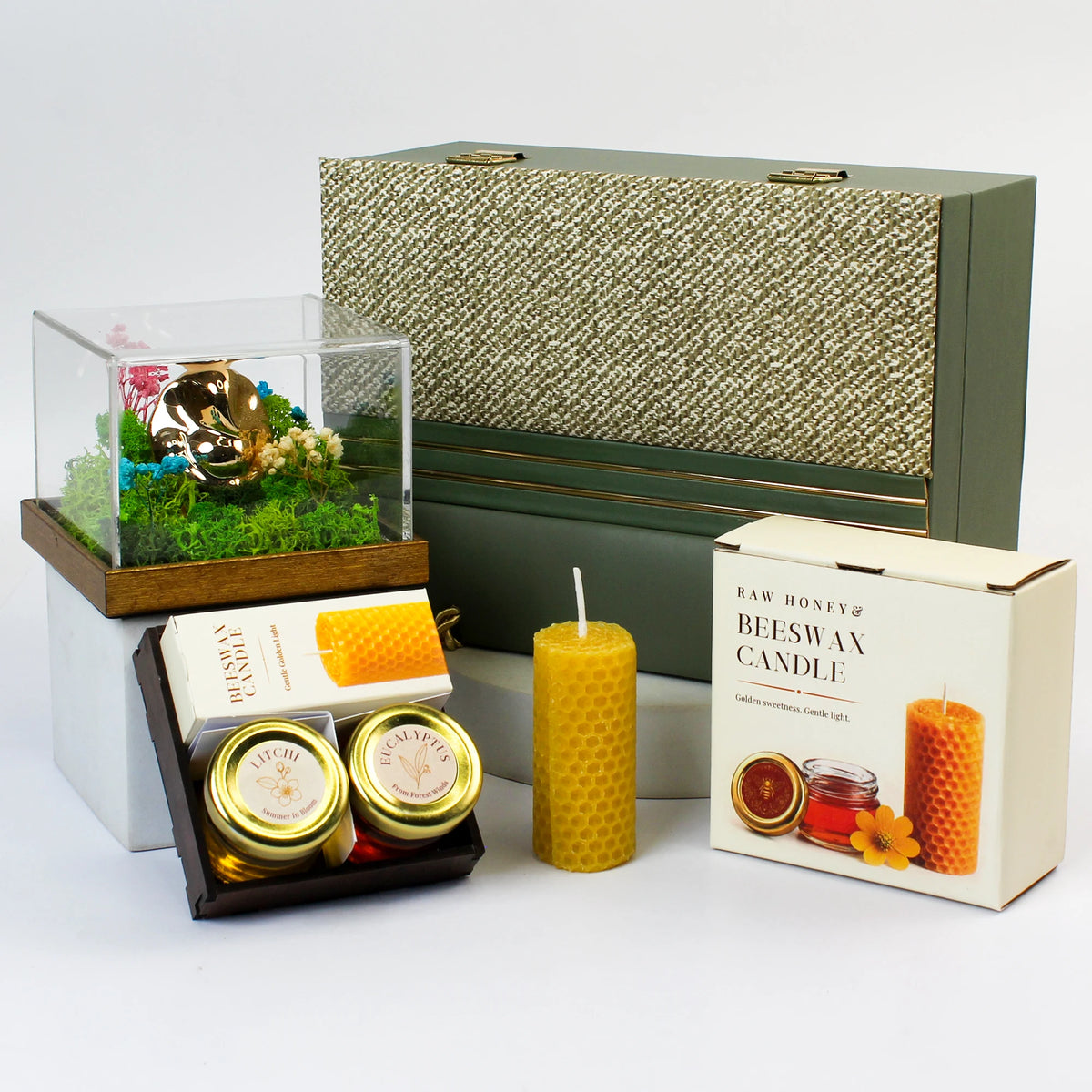 Eco - The Ganesha Case