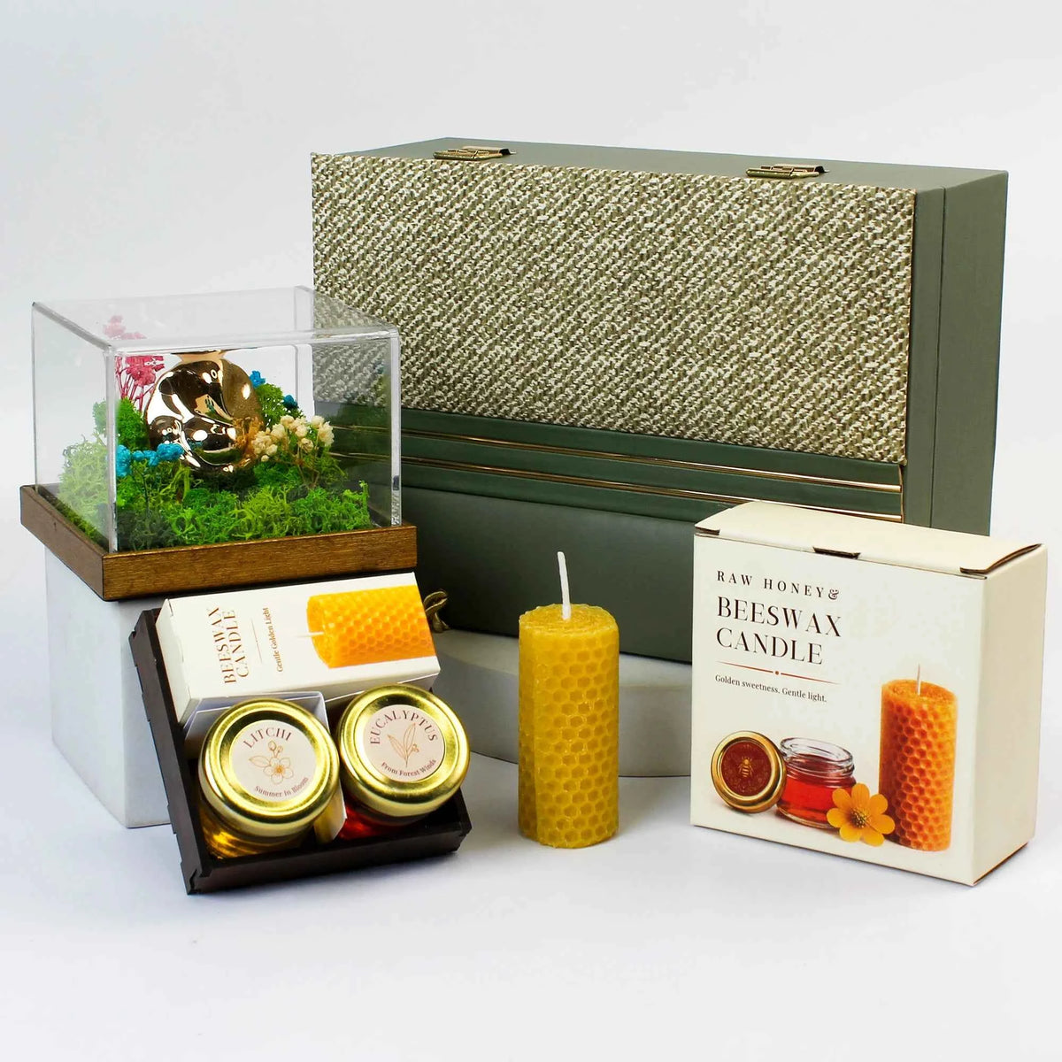 Eco - The Ganesha Case