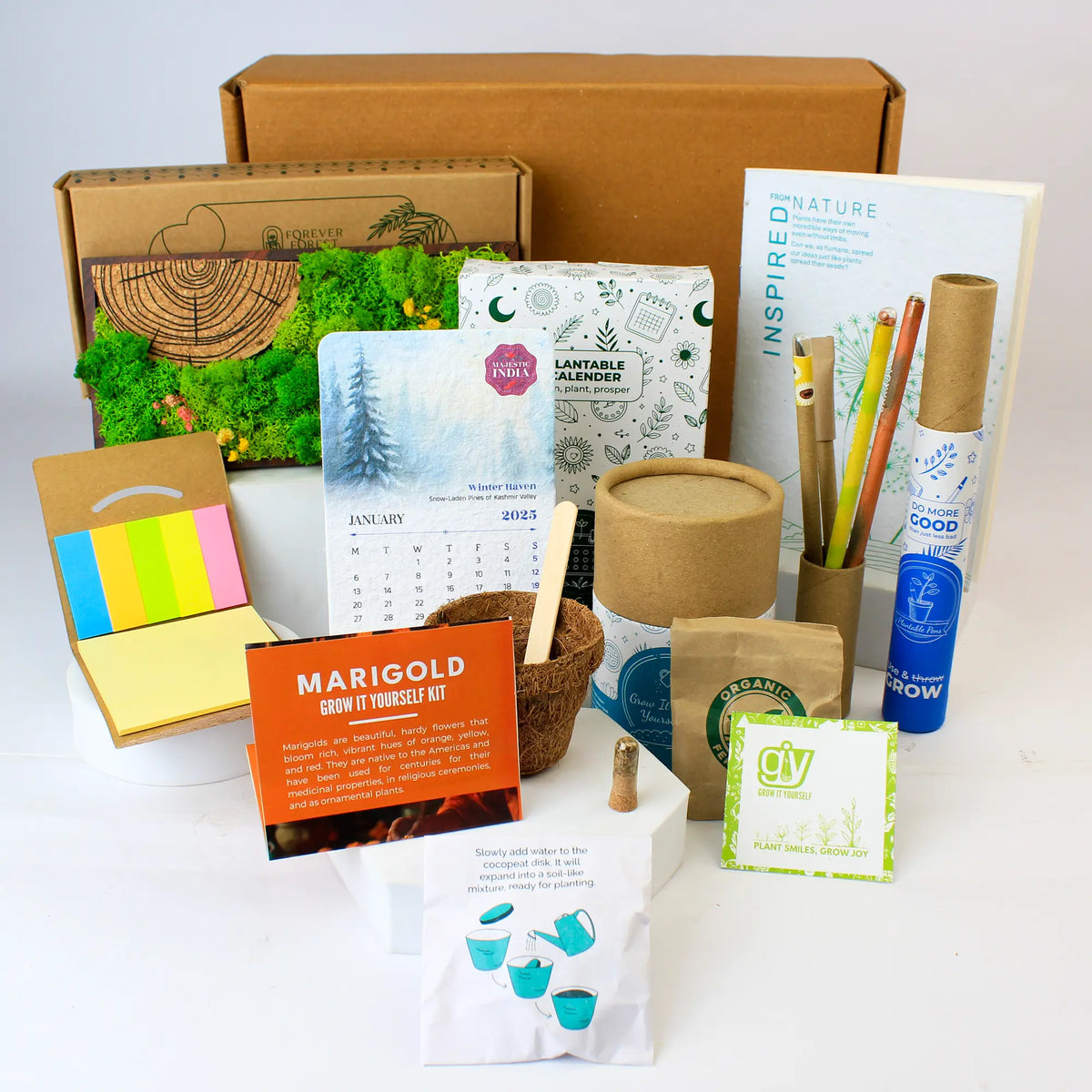 Eco - The Panorama Desk Box