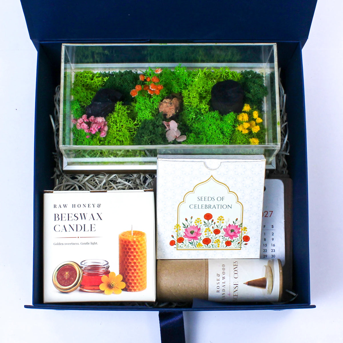 Eco - The Terrarium Box