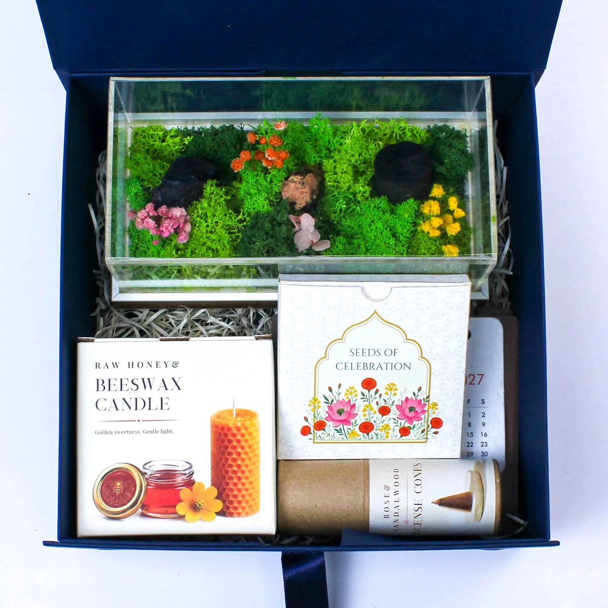 Eco - The Terrarium Box