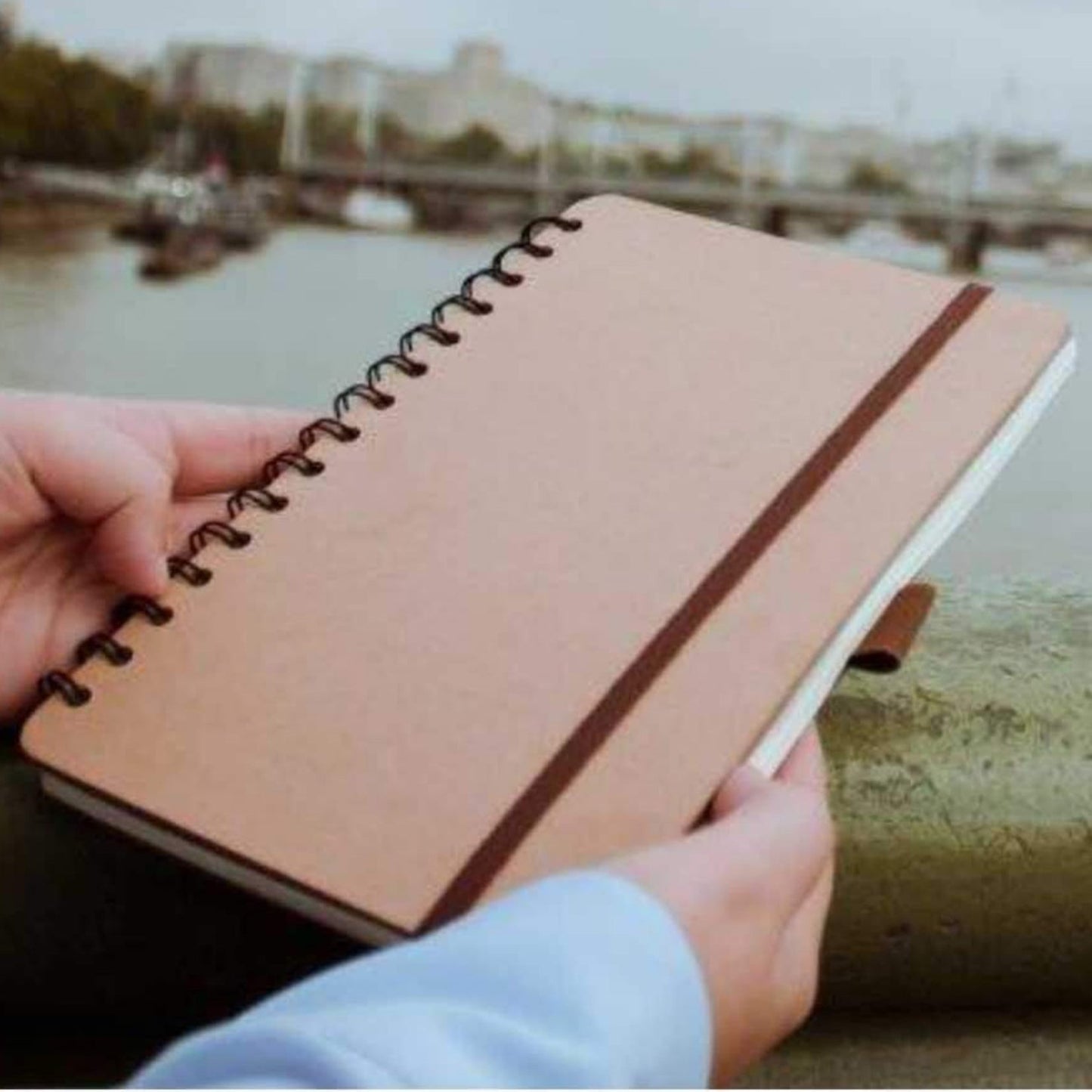 The Secretariat_Fuzo_India