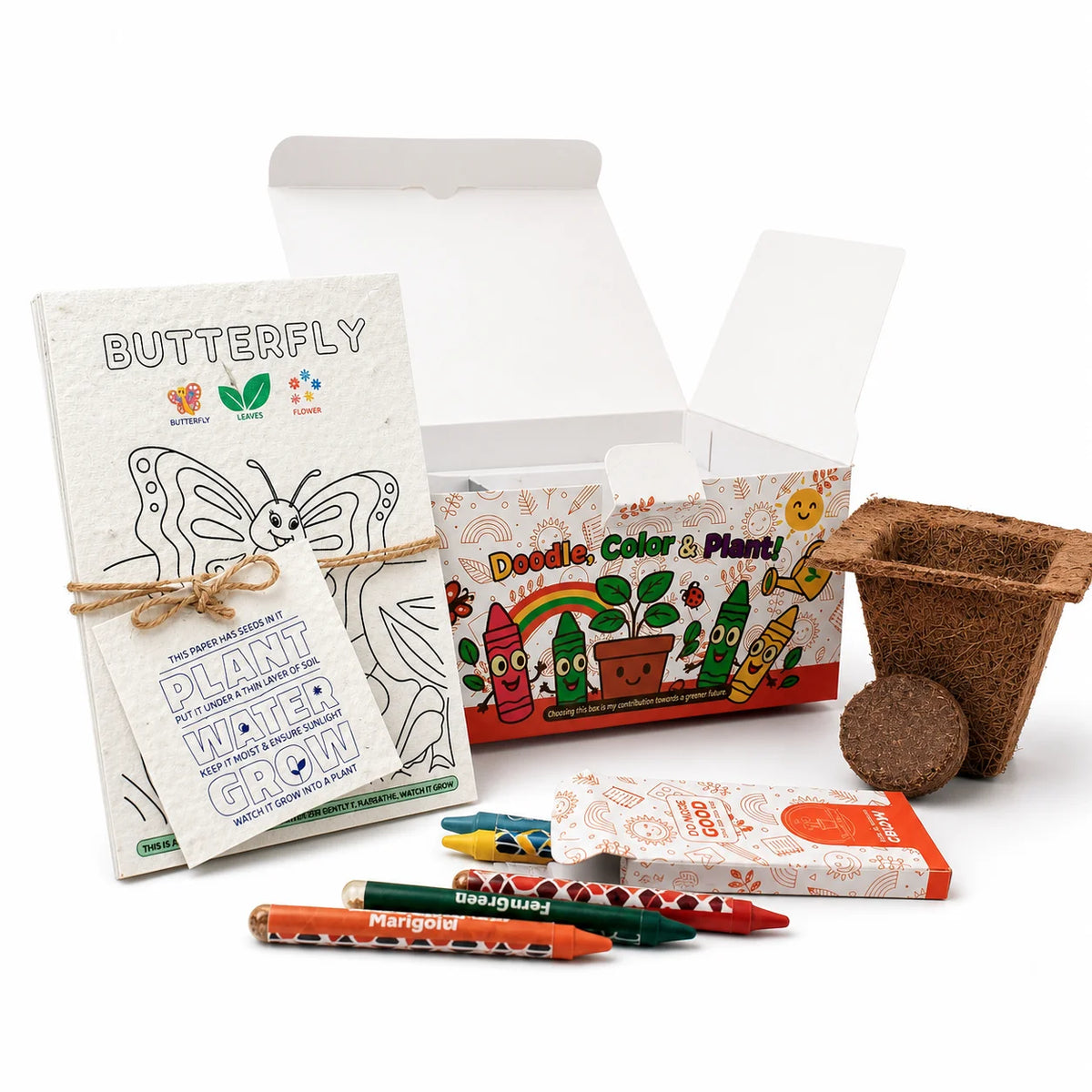 Eco - Colour & Bloom Grow Kit