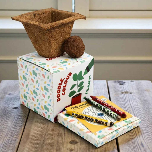 Eco - Colour & Plant Crayon Kit