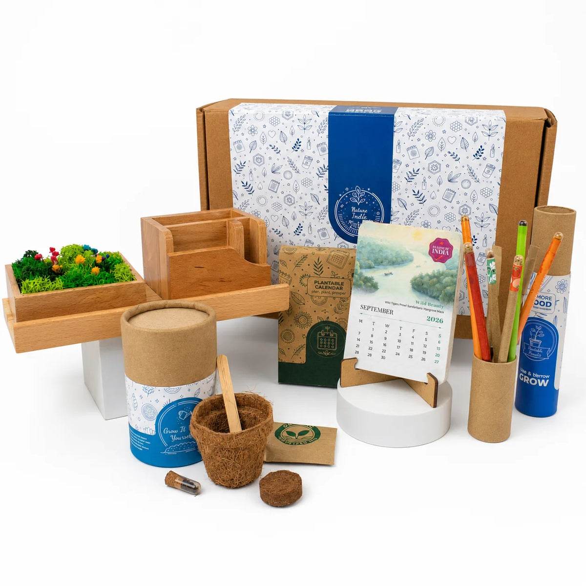 Eco - Forest Station Grow Desk Gift Box