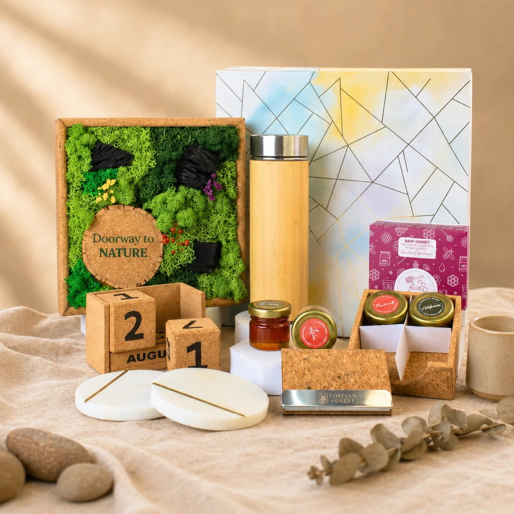 Eco - The Forest Chronicles Box
