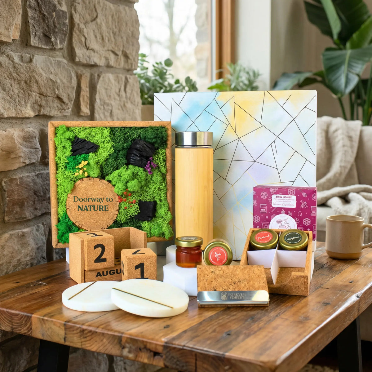 Eco - The Forest Chronicles Box