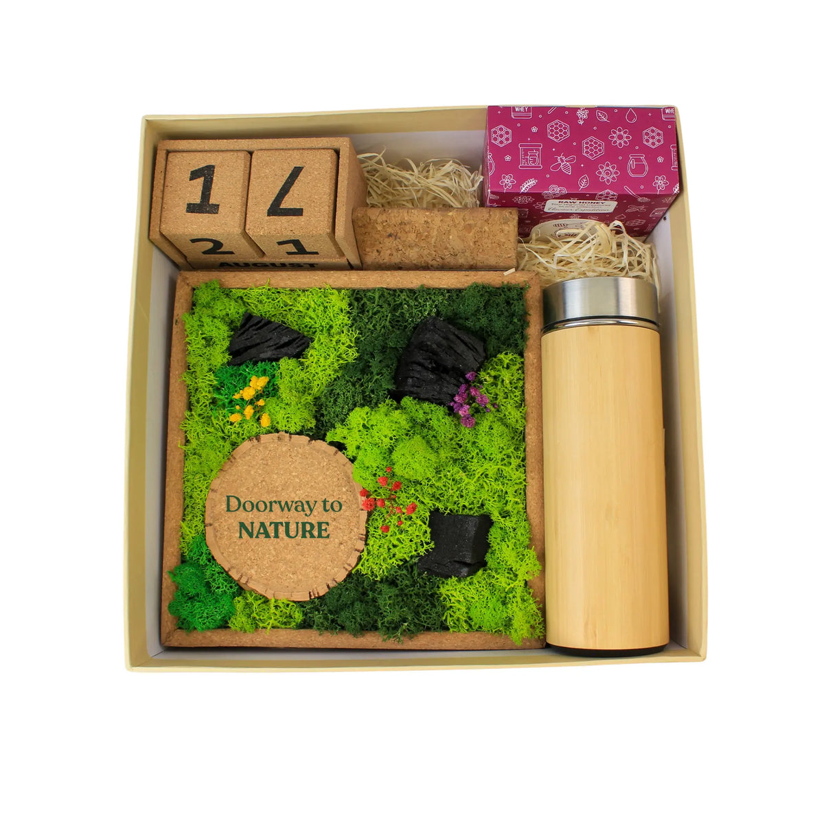 Eco - The Forest Chronicles Box