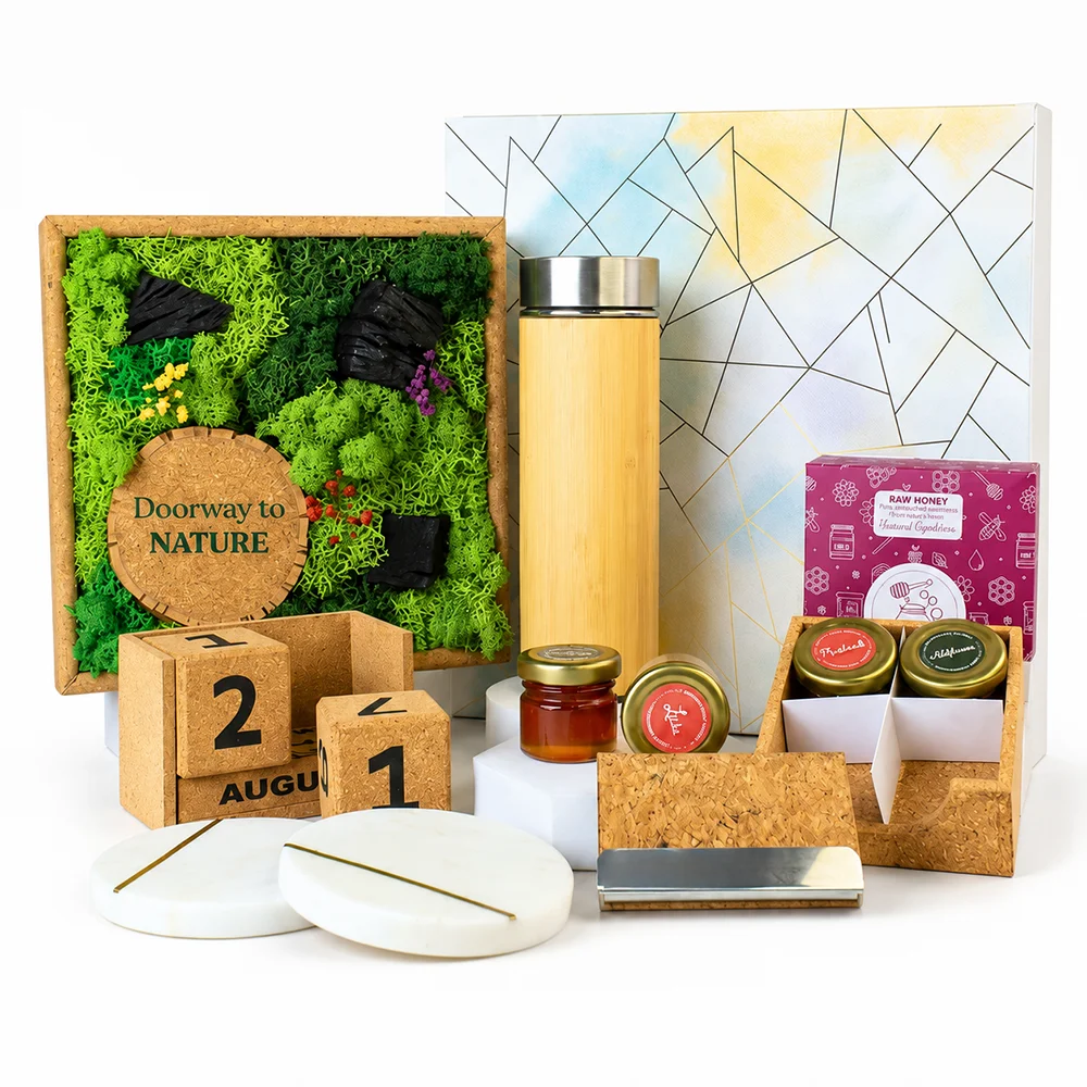 Eco - The Forest Chronicles Box