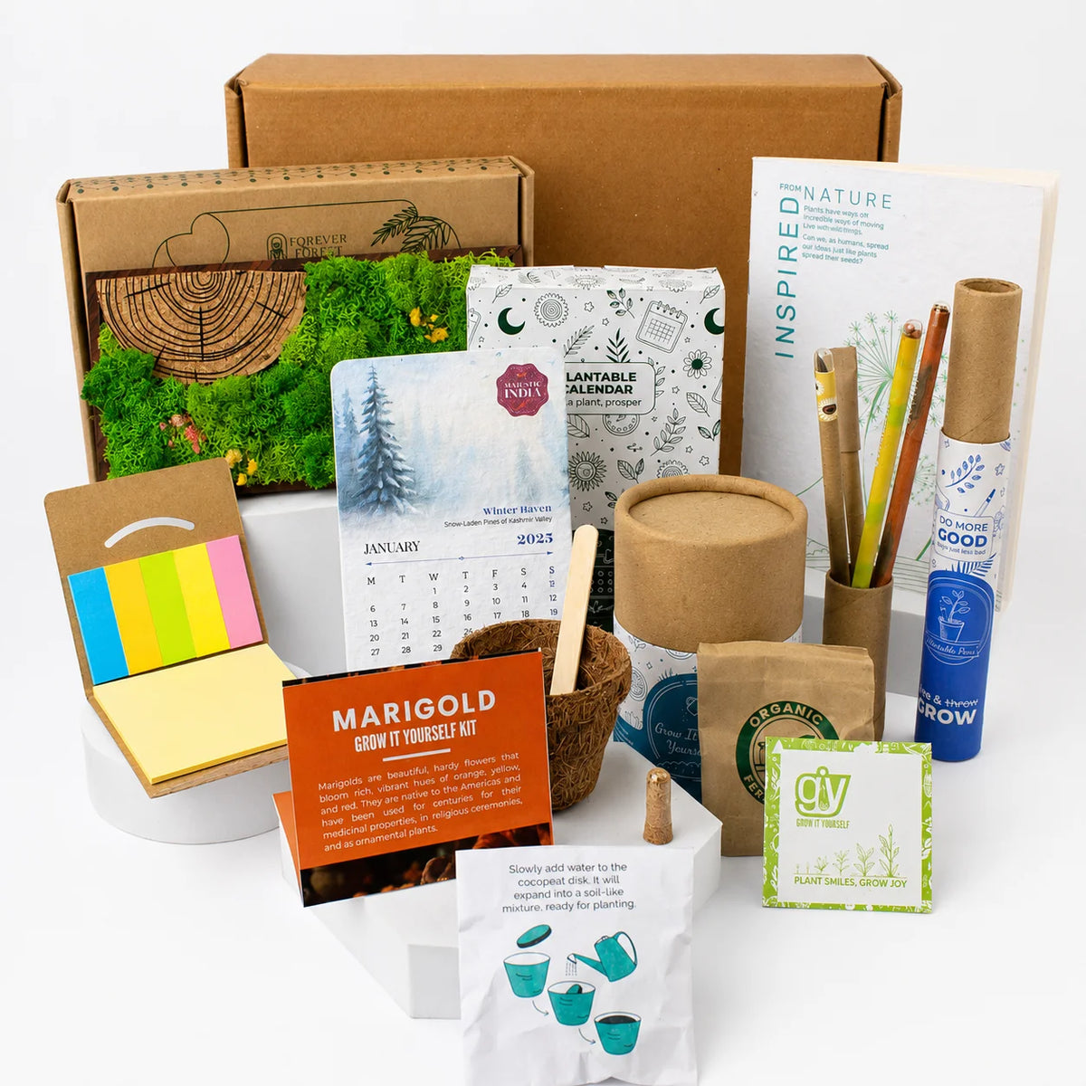 Eco - The Panorama Desk Box