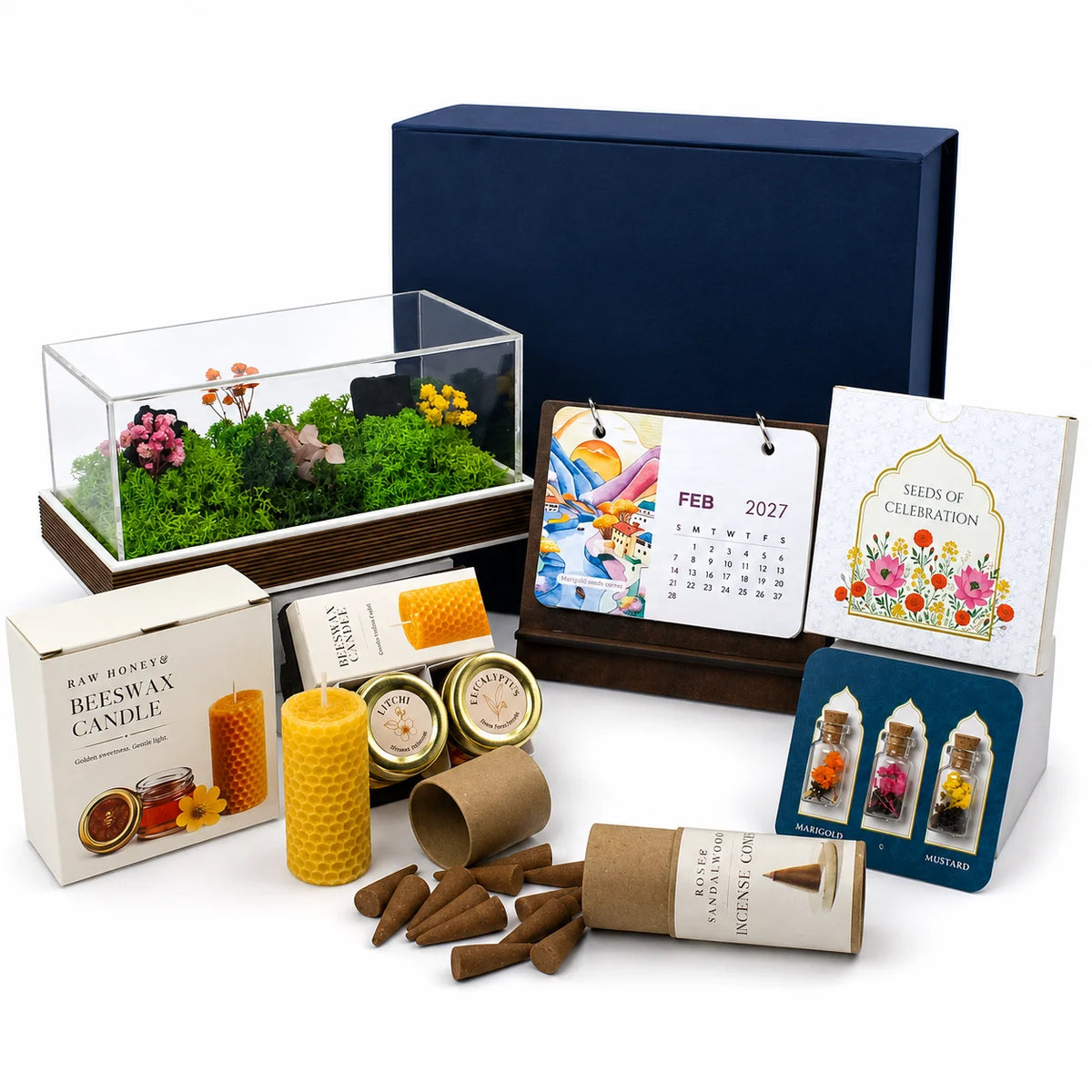 Eco - The Terrarium Box